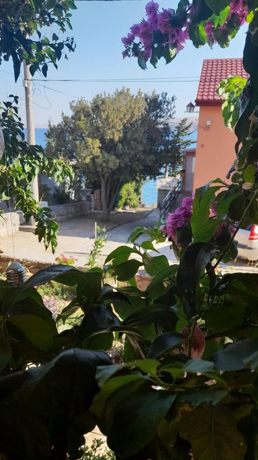 Apartmán Ivankovic *