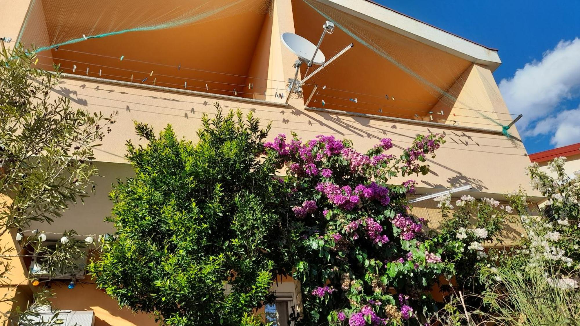 Apartment Ivankovic